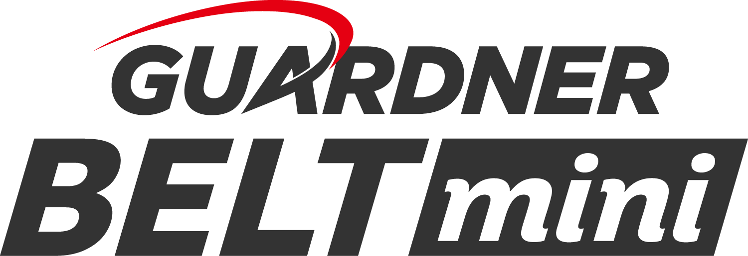 GUARDNER BELT mini